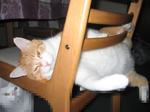 《未来五年电竞赛事的核心变革:技术、规则与市场》,电竞赛事规划