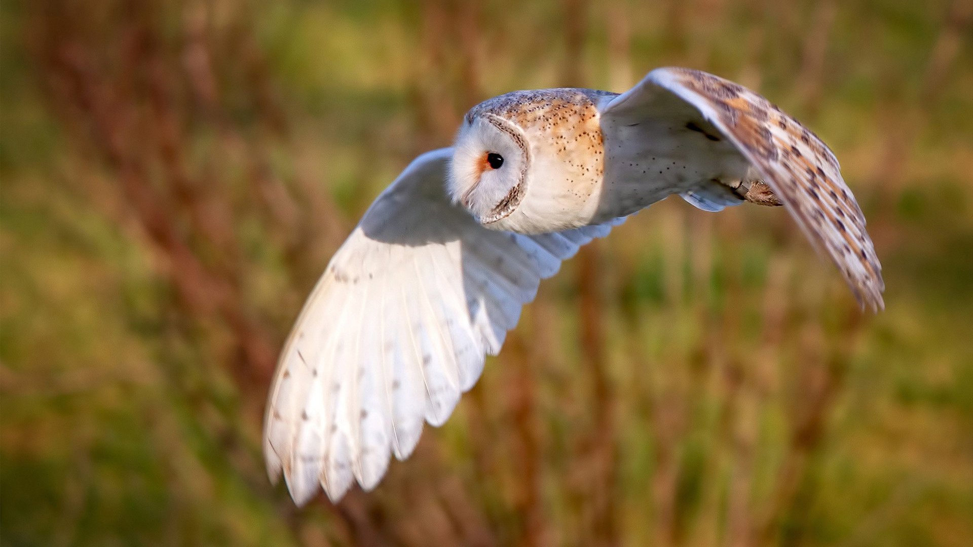 开云·体育官网APP下载-“快节奏规则开启行业新篇章——打破时间界限推动运动生态全面升级”
